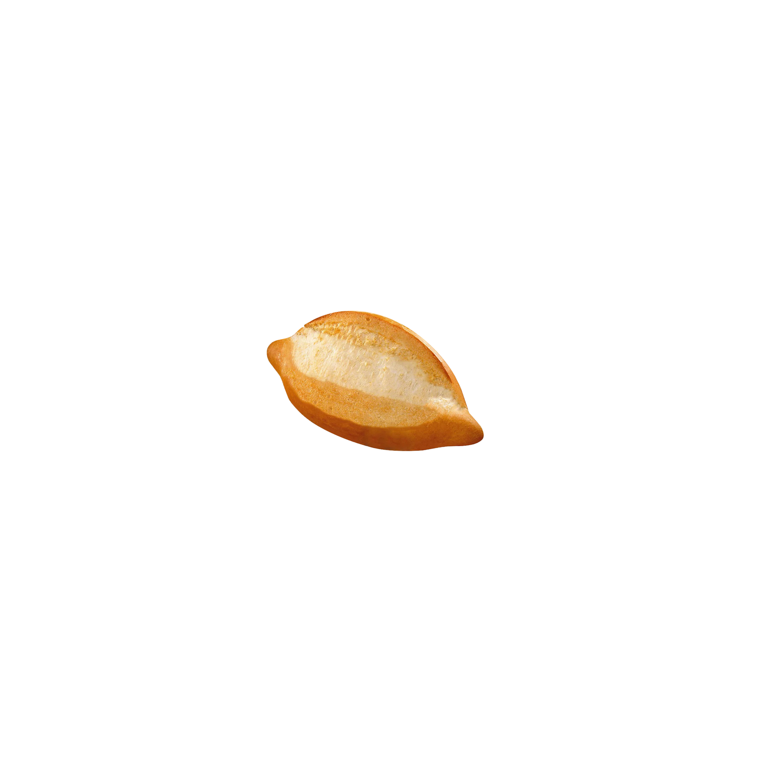 00000000000036_C1C1