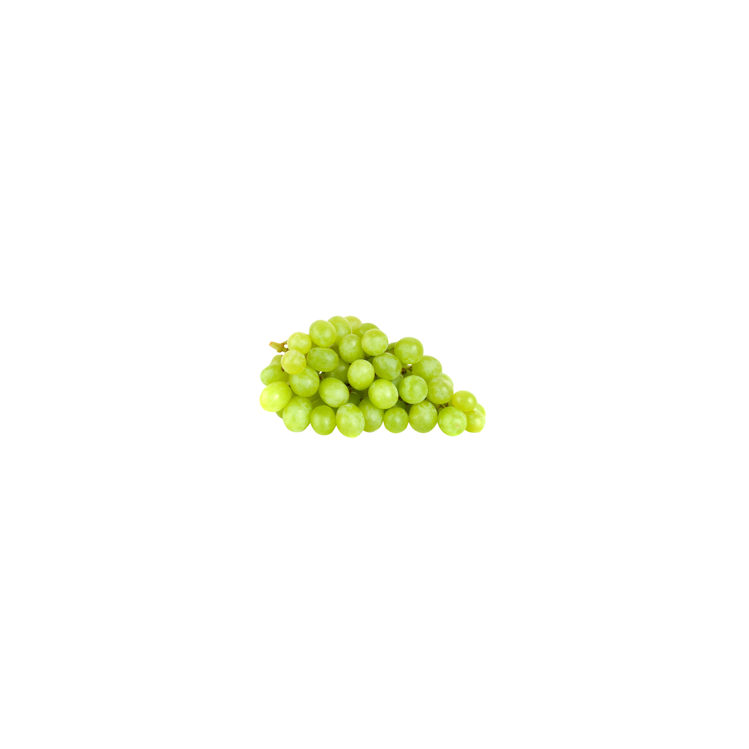00000000003093_C1N1