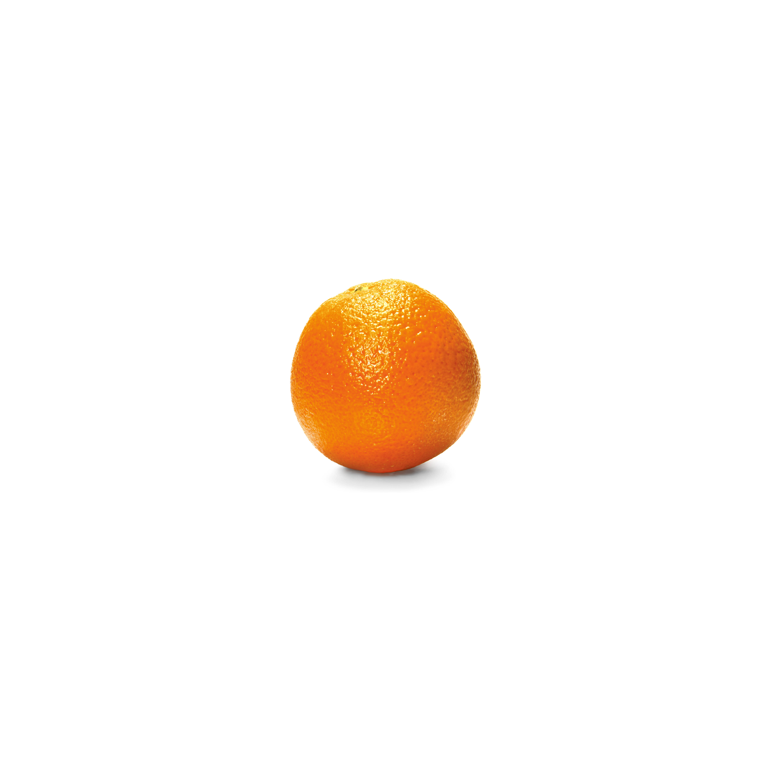00000000003110_C1C1