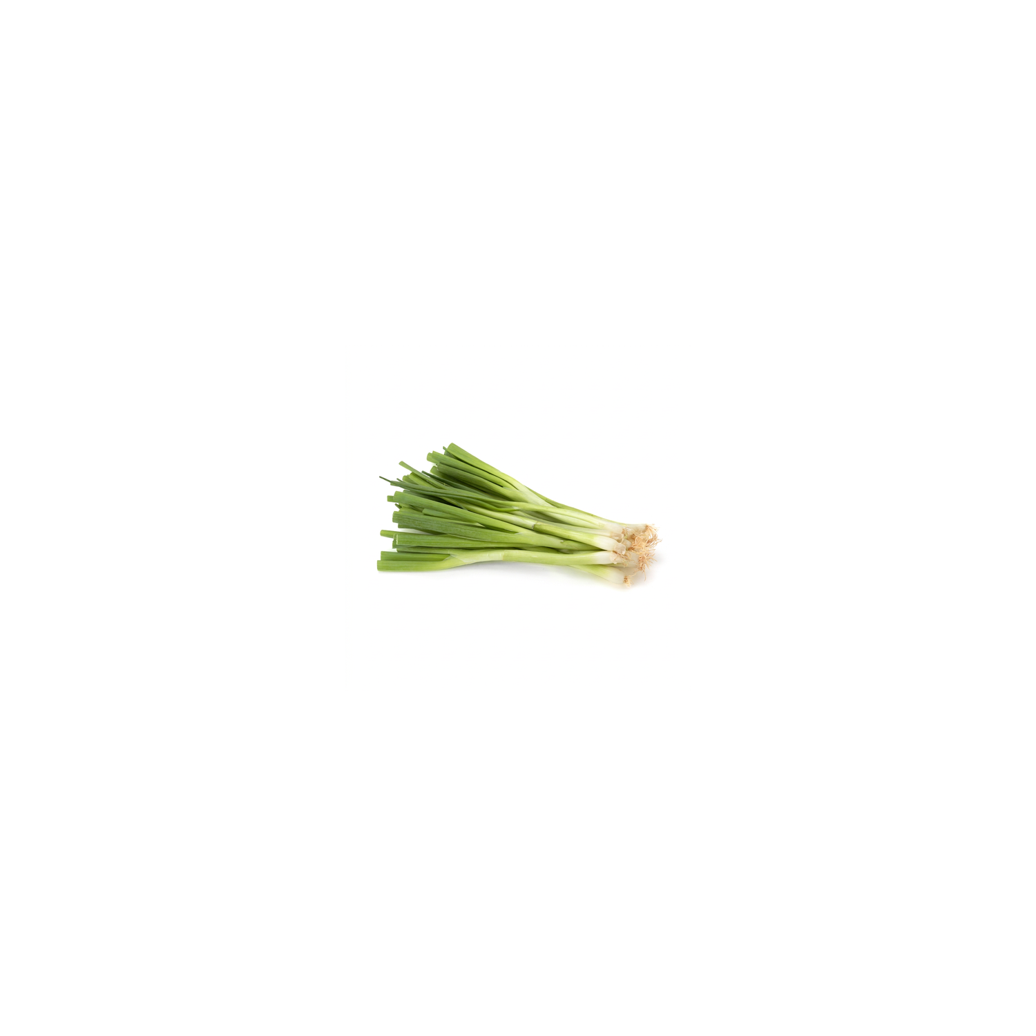 00000000004068_C1C1
