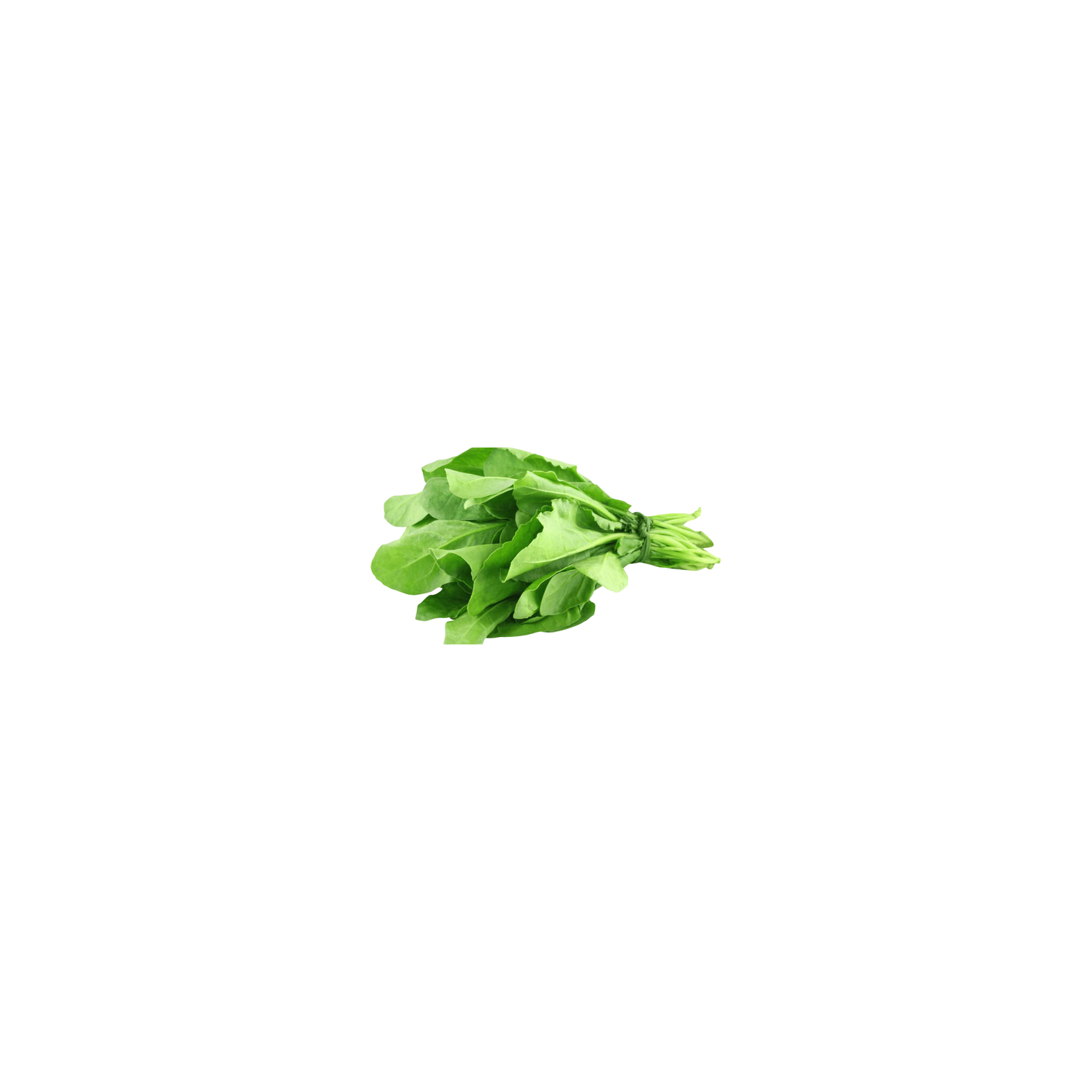00000000004090_C1C1