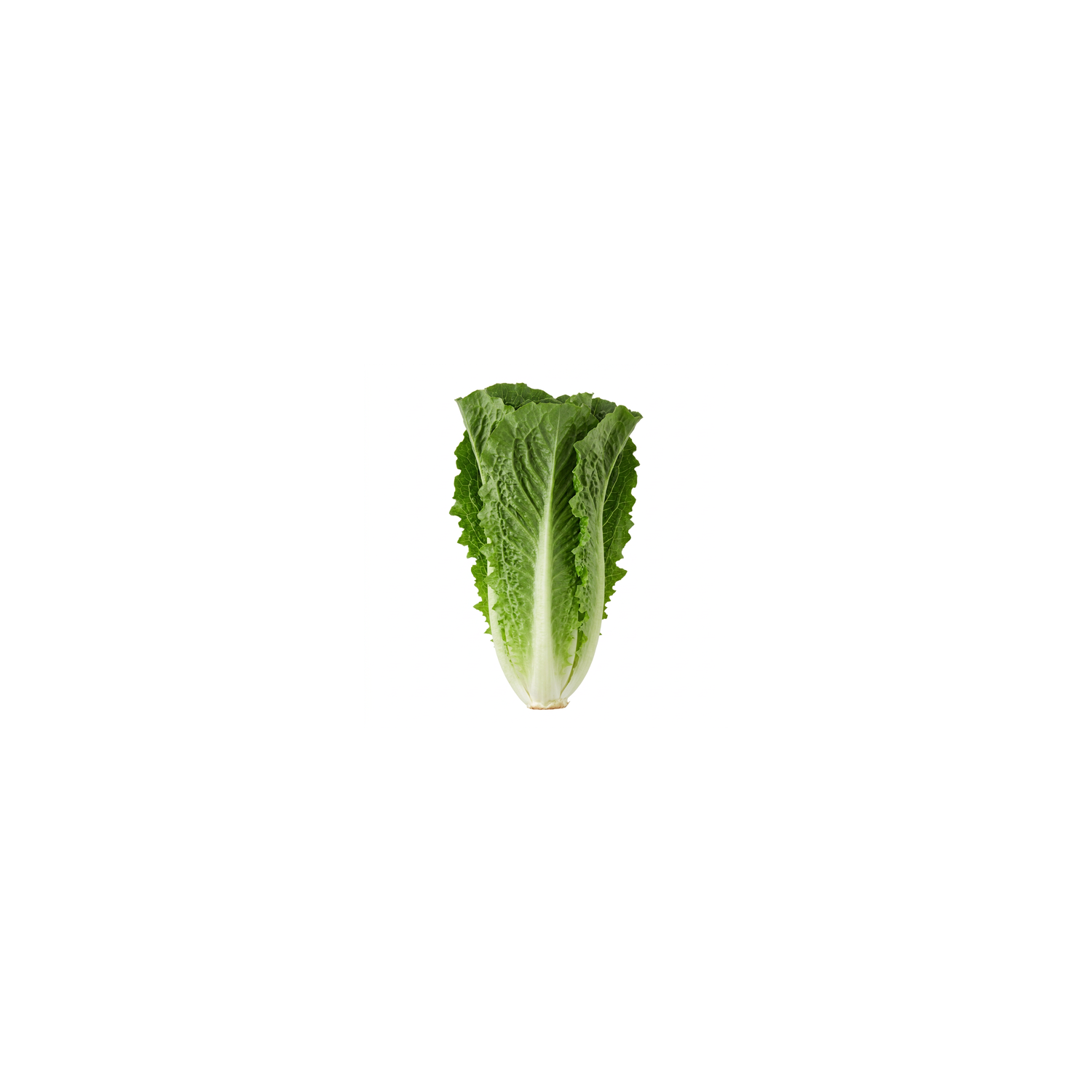 00000000004640_C1C1
