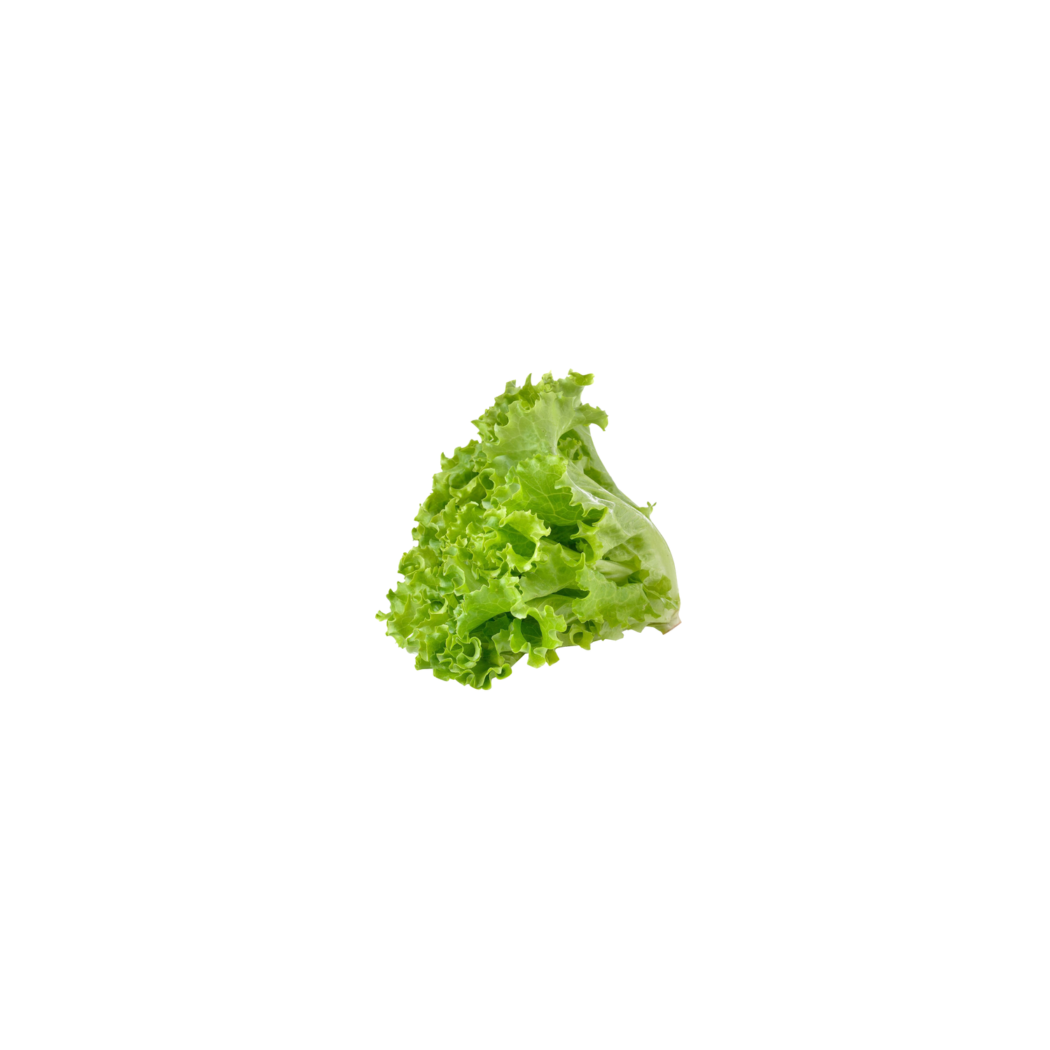 00000000094076_C1N1